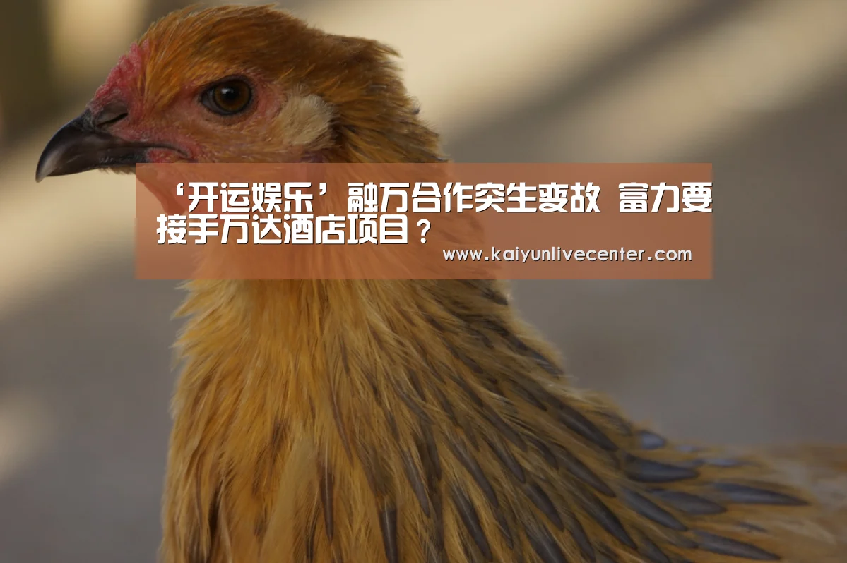 ‘开运娱乐’融万合作突生变故 富力要接手万达酒店项目?(图1) 开运登录