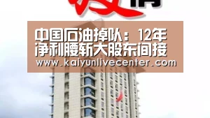 中国石油掉队:12年净利腰斩大股东间接套现132亿_开运娱乐(图3) 开运直播