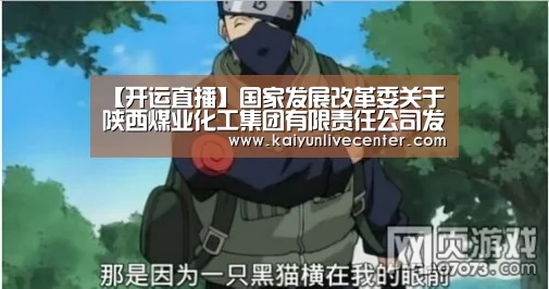 【开运直播】国家发展改革委关于陕西煤业化工集团有限责任公司发行公司债券核准的批复(图2) 开运娱乐