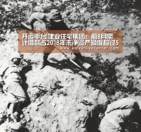 开运平台|建业住宅集团:前8月累计借款占2018年末净资产额度超过50%(图3) 开运娱乐