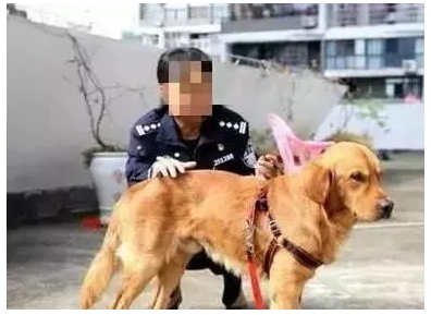 开运登录:招商蛇口前10月销售额完成全年目标85%(图3) 开运平台