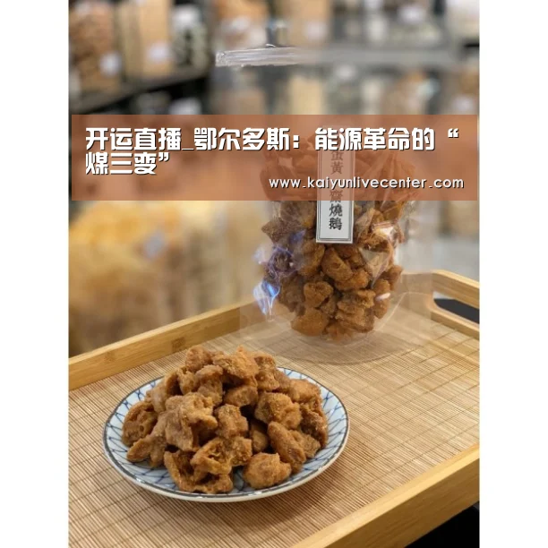 开运直播_鄂尔多斯:能源革命的“煤三变”(图2) 开运平台